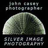 Link to Silver Image Photography