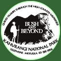 Bush and Beyond